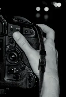 Portrait Studio Kauai